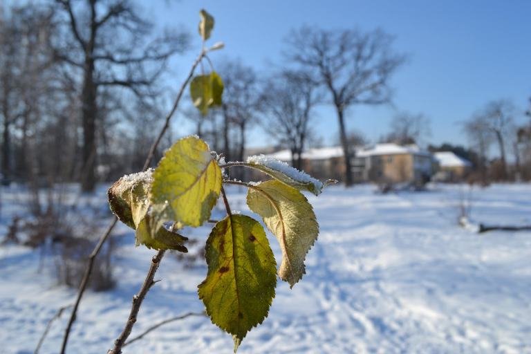 Казкові засніжені краєвиди: Фотопрогулянка мальовничим селищем поблизу Житомира. ФОТОРЕПОРТАЖ