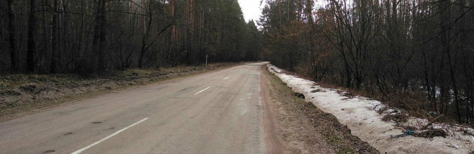 Пелюстки Житомира — нова спортивна пригода місцевих бігунів. ФОТО