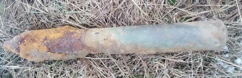 На Житомирщині на своїй присадибній ділянці селяни виявили 2 два артилерійські снаряди та ручну гранату