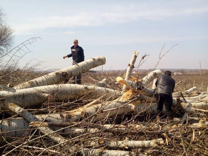 В громаді на Житомирщині мешканці спільними зусиллями заготовили дрова для опалення місцевої школи