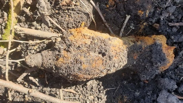 На Житомирщині «мисливці» за металобрухтом натрапили на два артилерійських снаряди та ще одну мінометну міну