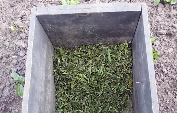 Наркодилер, якого викрили на Житомирщині, може опинитися за гратами на 10 років