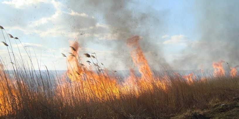 На Житомирщині попереджають про пожежну небезпеку!