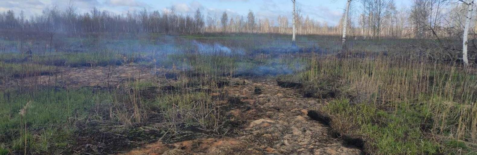 На Житомирщині вогнеборці ліквідували займання торфу та сухої трави