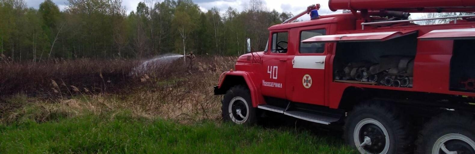 На Житомирщині вогнеборці ліквідували два загоряння сухої рослинності на відкритих територіях