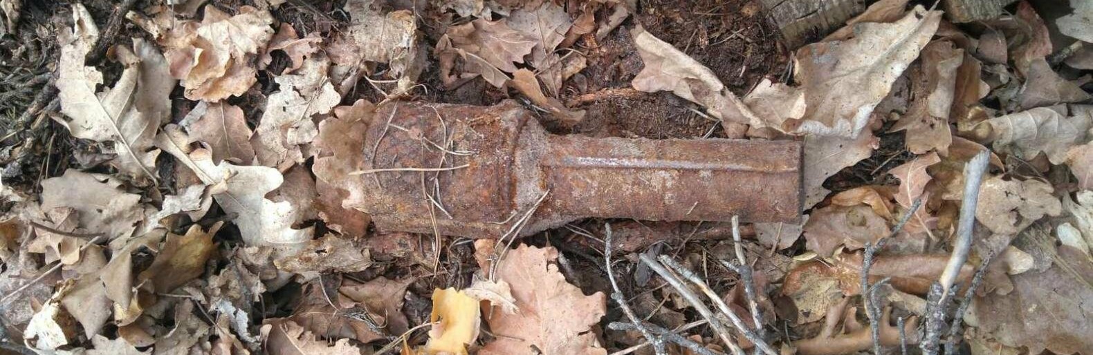 На Житомирщині чоловік, вигулюючи собаку, натрапив на артснаряд