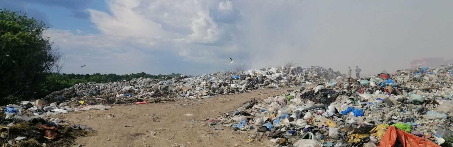 На Житомирщині горів полігон твердих побутових відходів. ФОТО