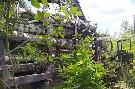 На Житомирщині затримали лісопорушників. ФОТО