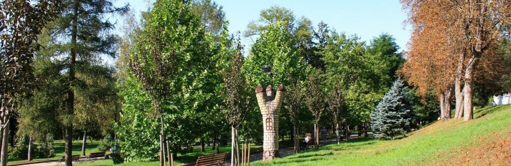 У Житомирі з’явиться реєстр зелених зон та насаджень