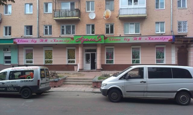 azaliya